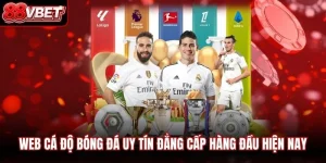 Web Cá Độ Bóng Đá